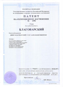 Патент  на селекционное достижение Утки Anas platyrhynchos L. Благоварский